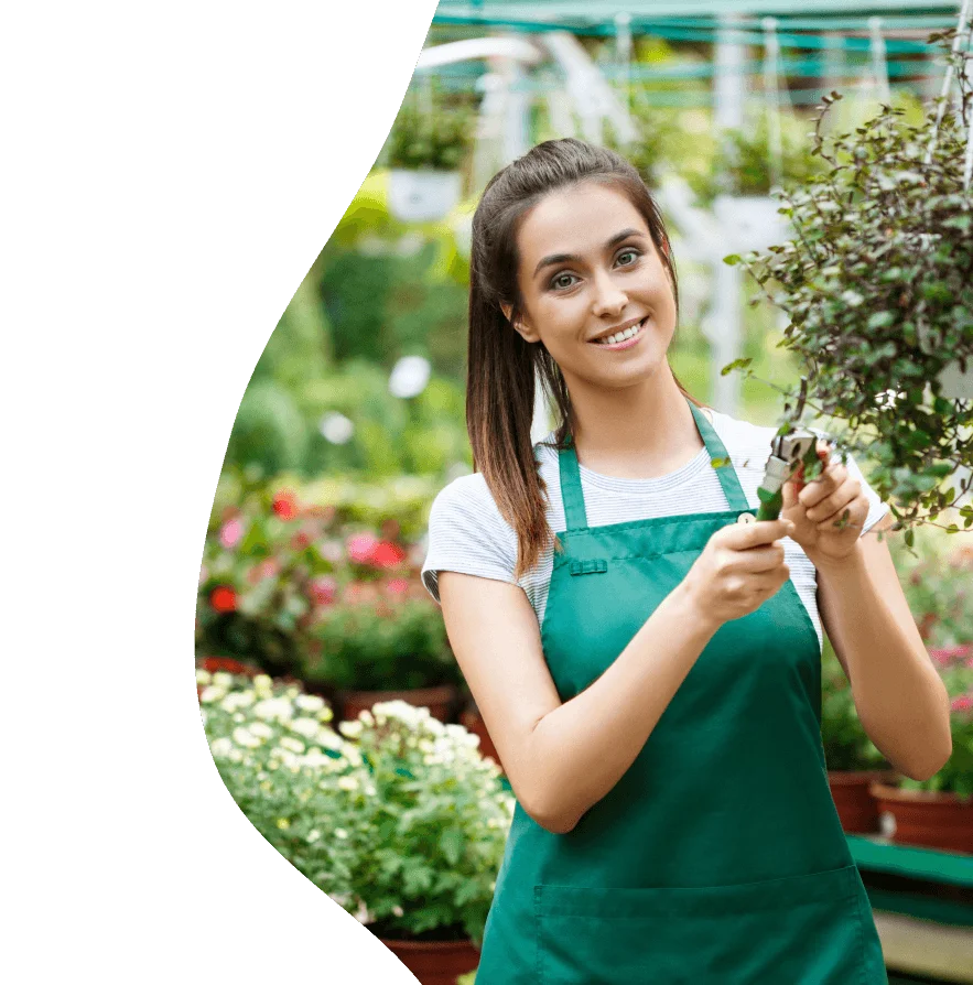 Healthy outdoor environment and wellness